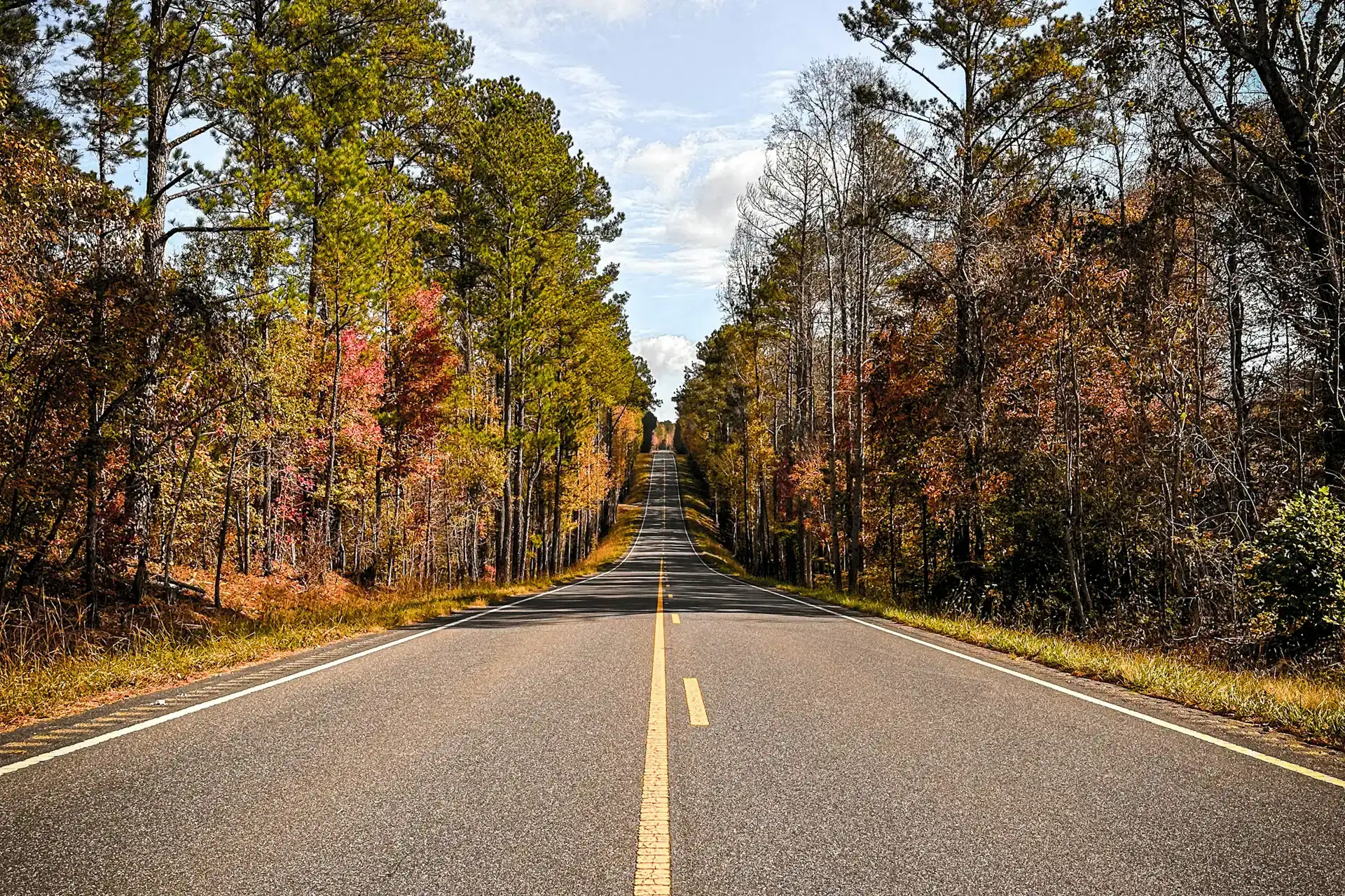 Empty Alabama road surrounded by trees in autumn colors
