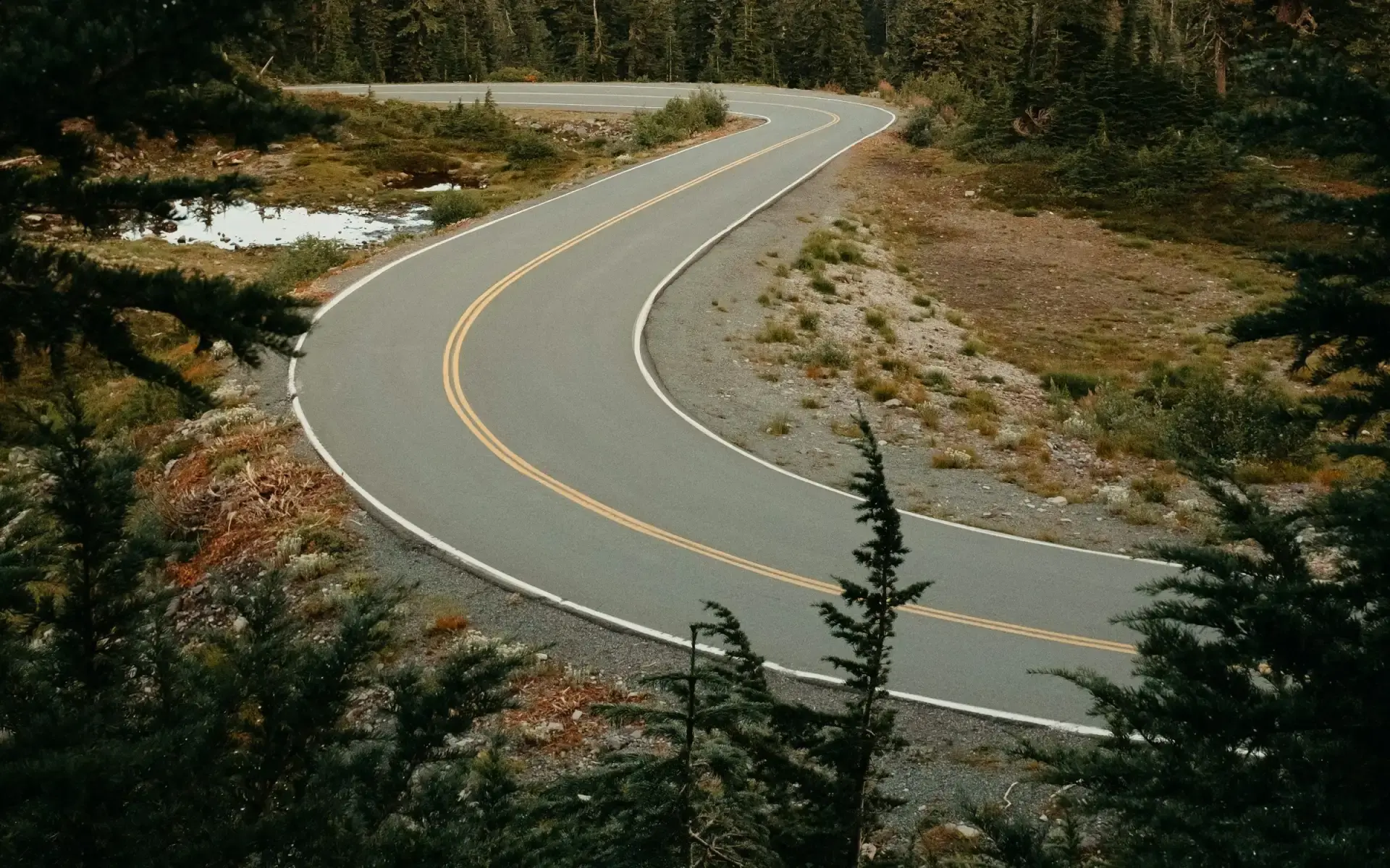 A winding two-lane road curving through evergreen forest on Mount Baker, Washington
