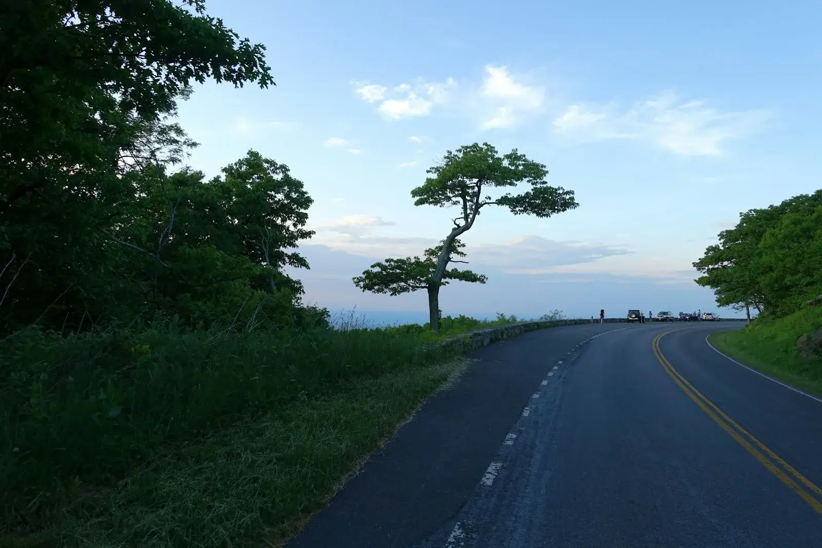 A curving road with a yellow centre line at an overlook in Shenandoah National Park, Virginia