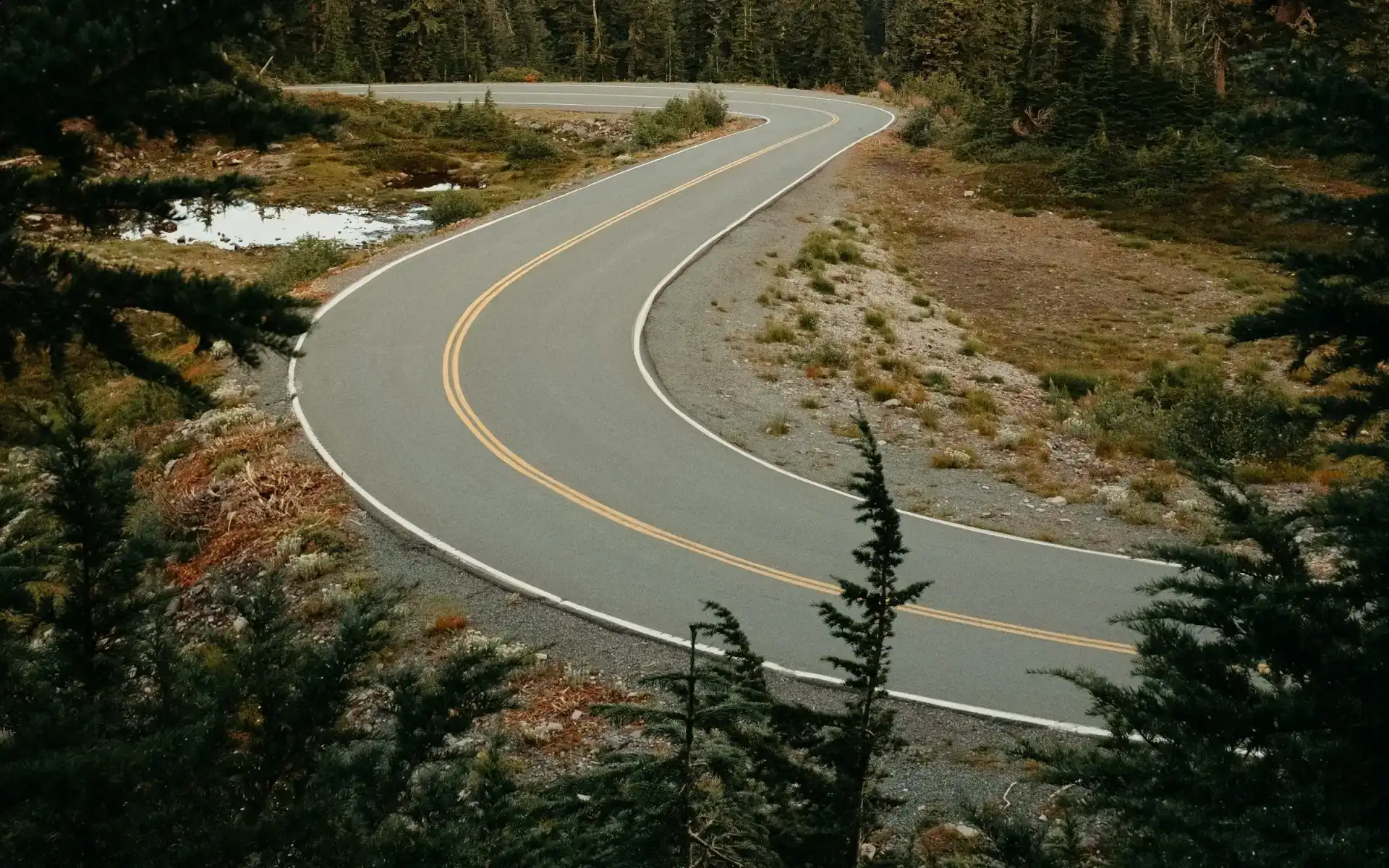 A winding two-lane road curving through evergreen forest on Mount Baker, Washington